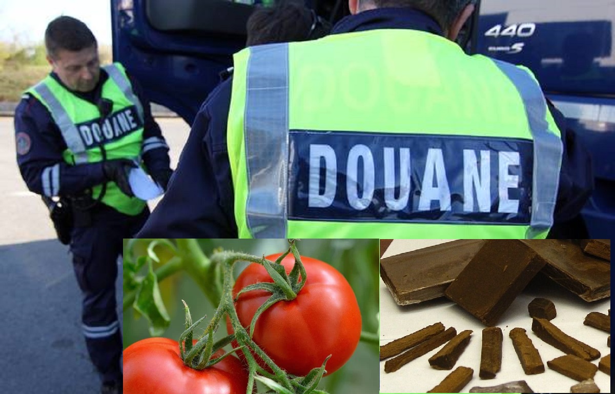 Plus de 200 kg de haschich cachés dans des tomates cerises