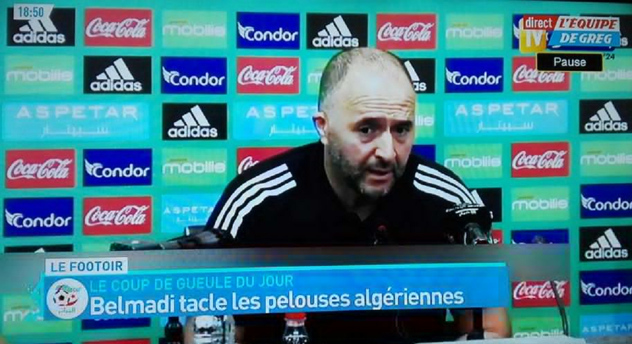 Algérie :  Avec Belmadi, c’est chacun son job