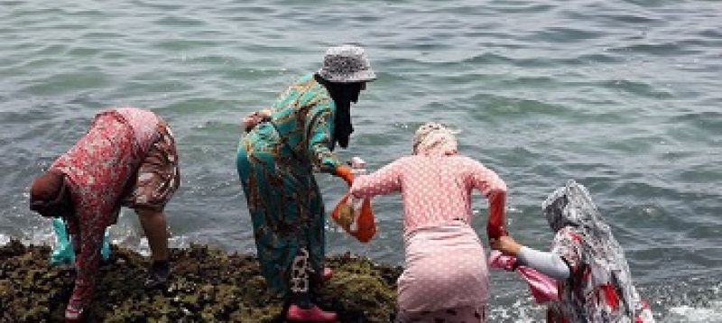 Maroc: les pêcheuses adoptent de nouvelles pratiques résilientes au climat