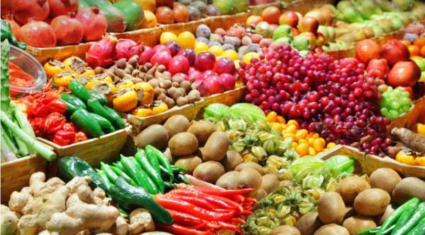 L’Espagne importe 46% des légumes du Maroc