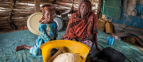 Sahel : regards croisés sur la crise alimentaire