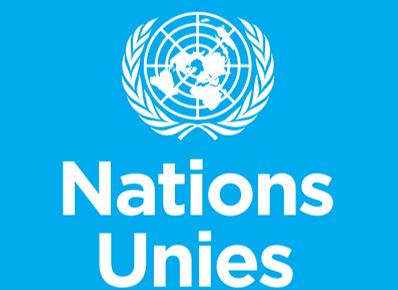 L’ONU à l’épreuve des enjeux géopolitiques et stratégiques