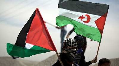 Algérie. Séminaire sur la Palestine et le Sahara Occidental