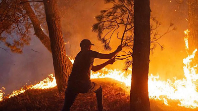 Algérie: les feux ont endommagé un parc classé par l’Unesco