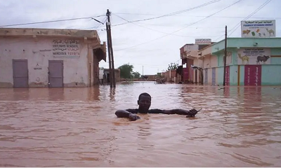 La Mauritanie reçoit une aide humanitaire de l’Algérie