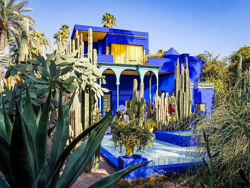 Maroc : Le Jardin Majorelle, Marrakech