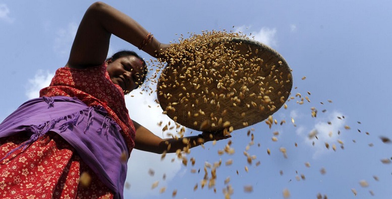 Gouvernance environnementale au Sahara Occidental