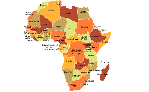 Le panorama politique en Afrique vu au Maroc