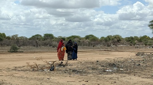 L’Afrique demande plus d’argent pour éliminer les émissions de gaz à effet de serre