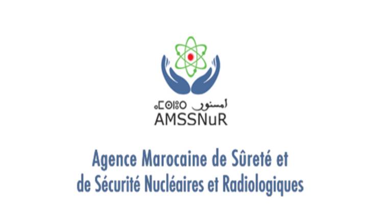 Sûreté et Sécurité Nucléaires – Position paper