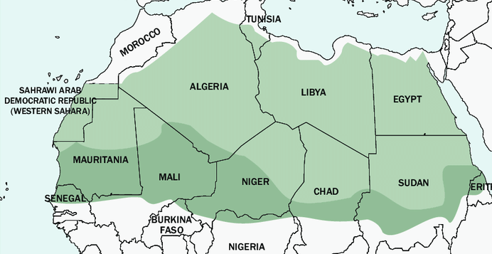 Instabilités sur la frontière sud de l’Europe : questions de sécurité dans la région Sahel-Maghreb ?